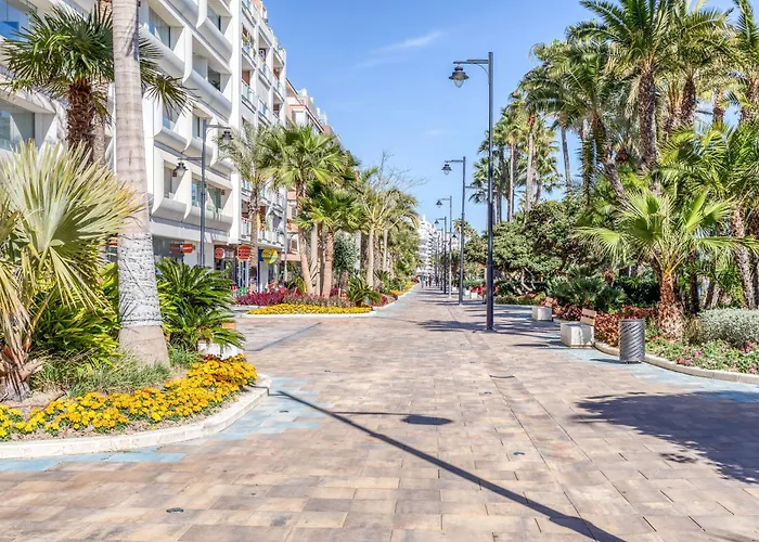 Hanami Plaza Abc Estepona